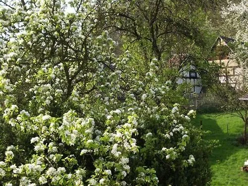 Im Nuerburgring Дом отдыха