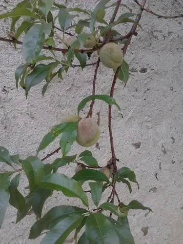 Im Nuerburgring * Herschbroich