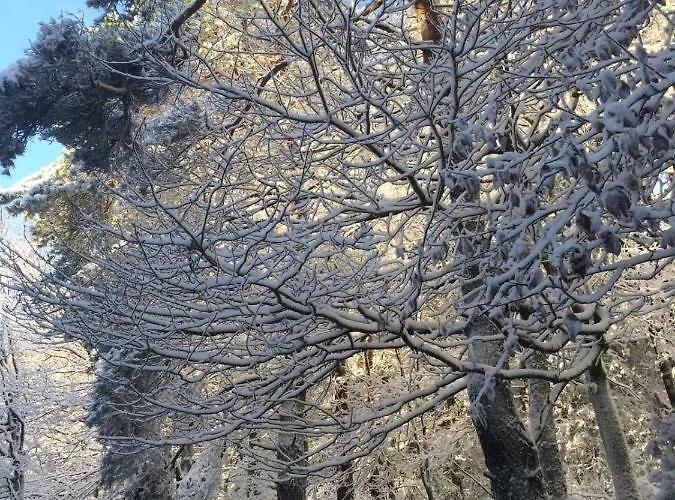 Im Nürburgring * Herschbroich